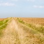 Weg