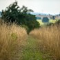 Richtung Tschechien