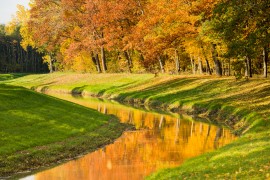 Herbstfarben am Graben