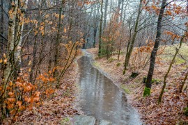 wirklich nasser Weg