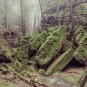 anschwellender Bach im/am Malerweg