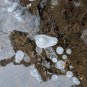 Handyfoto-gefrorene Blasen im klaren Wasser