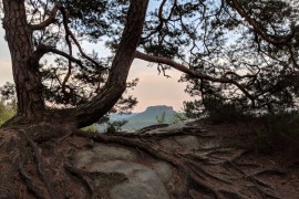 Blick zum Lilienstein mit Frame