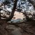 Blick zum Lilienstein mit Frame