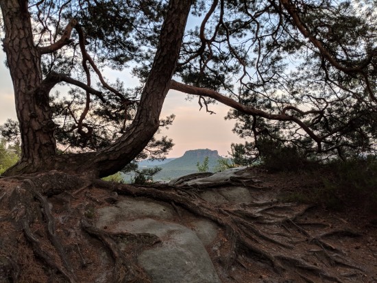 Blick zum Lilienstein mit Frame