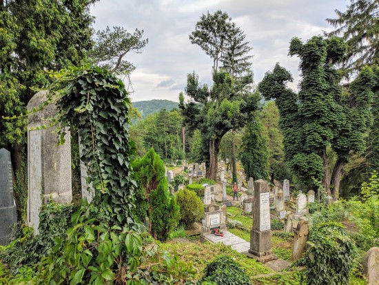 deutscher Friedhof in Schäßburg