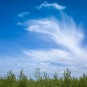 Wolke am Wolkenberg