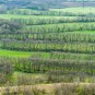 Die Landschaft von oben - herrliche Grafik