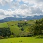 grünes Land im September