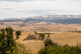 auf dem Weg zum See