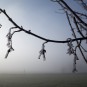 Wind, Nebel und Frost als Baumeister