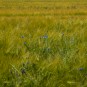 Tilten in der Landschaft