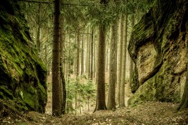 Zwischen den Felsen