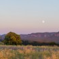 Mondaufgang am 1. Juli kurz vor Sonnenuntergang