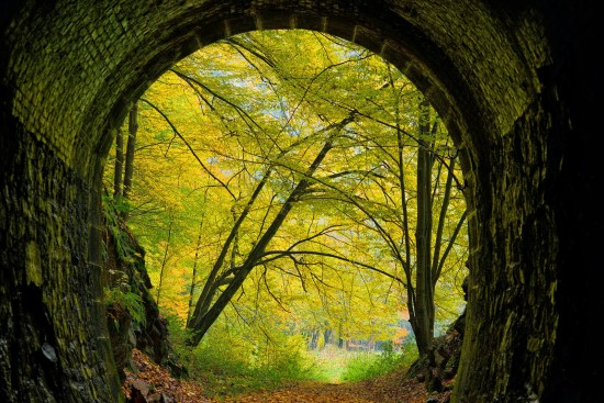 Tunnelblick