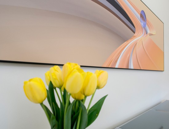 Tulpen, Bild und USM