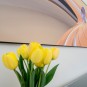 Tulpen, Bild und USM