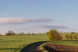 Zarte Wolken, lange Schatten, Oelsen