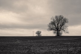 auf dem Weg zum Steinbruch