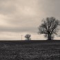 auf dem Weg zum Steinbruch