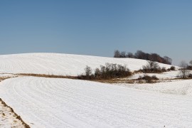 Schöner Weg in Mittendorf