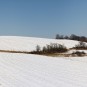 Schöner Weg in Mittendorf