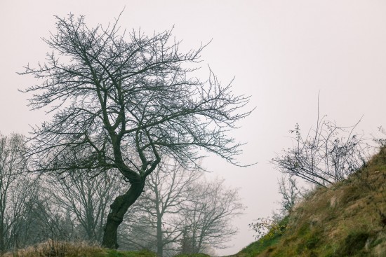 Rückweg