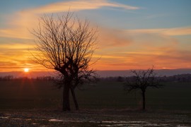 Januarabendstimmung am Triebenberg