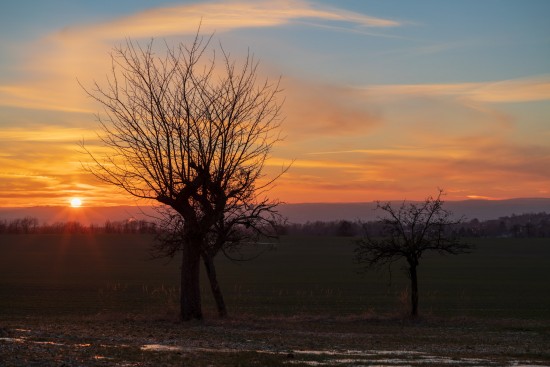 Januarabendstimmung am Triebenberg