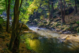 Licht und Farbe an der Wesenitz