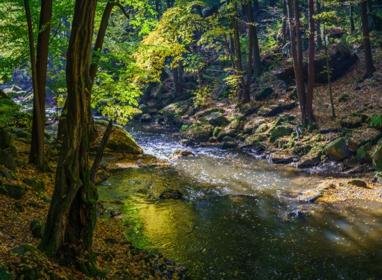 Licht und Farbe an der Wesenitz