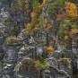 bewachsene Felsenriffe an den Gansfelsen