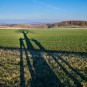 Symmetrie am Baum, Sonne knapp überm Horizont