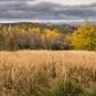 Blick von Pillnitz in Richtung Saechsische Schweiz