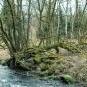 Wiesenweg an der Sebnitz