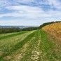 Das Tal mit Pirna zwischen Mocketal und Wehlen zu sehen