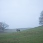 Morgenstimmung in Kloster beim Brötchen holen