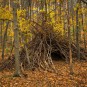 Stäbchenhütte bei 65 mm und Offenblende