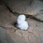 kleiner Schneemann
