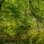 Licht und Reflexion am Wasser