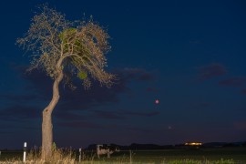 Mond, Mars, Kuh, Nacht, Königstein