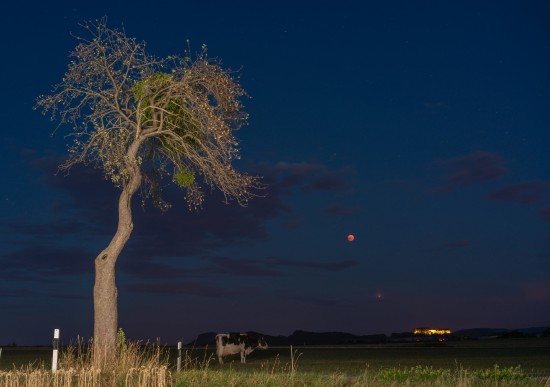 Mond, Mars, Kuh, Nacht, Königstein