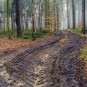 ausgefahrener Weg