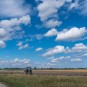 Landwirtschaft im flachen Land