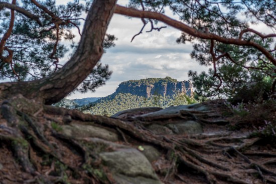 Lilienstein gerahmt