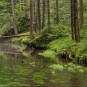 Stille Klamm, leichter Dunst