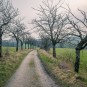 matschiger Vorfrühlingsweg