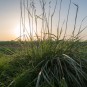 5 mInuten bis zum Sonnenuntergang