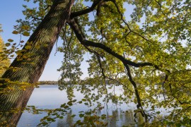 Am See, Roederaue im Oktober